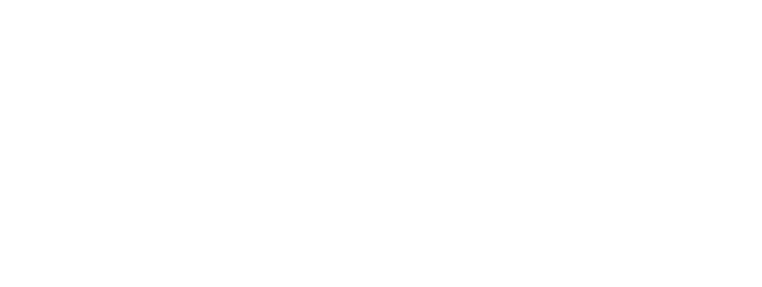 Maennche Software Services